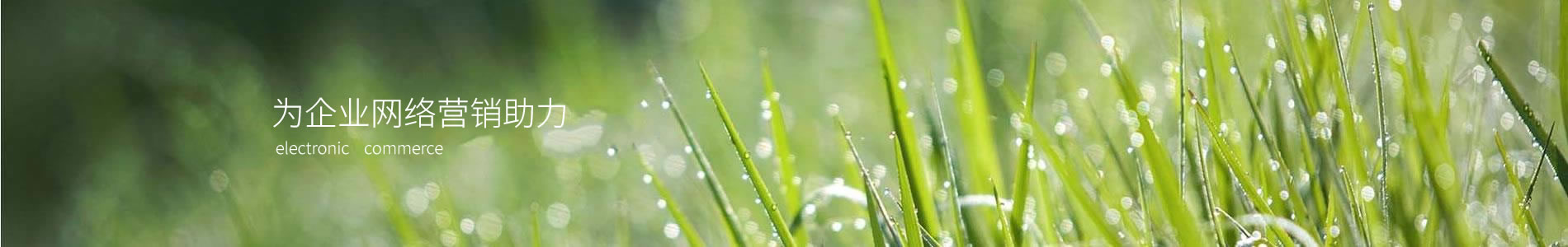 оӿƼ޹˾